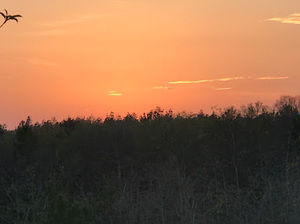 Meet your Posher, Robin